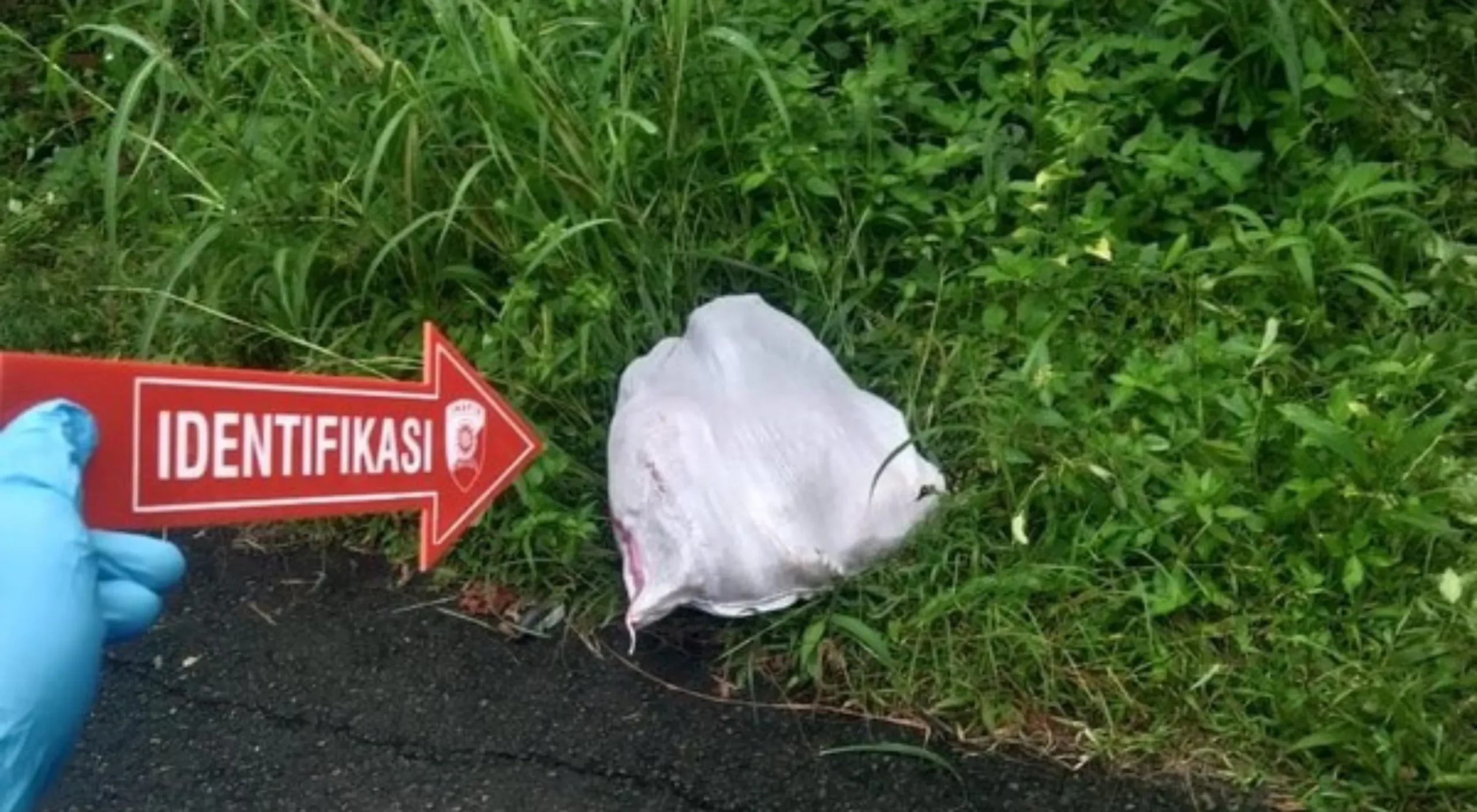 Siswi Tewas Dalam Karung Di Sumbar, 2 Pelaku Pembunuhan Di Tangkap Di Tanah Datar Langsa Aceh